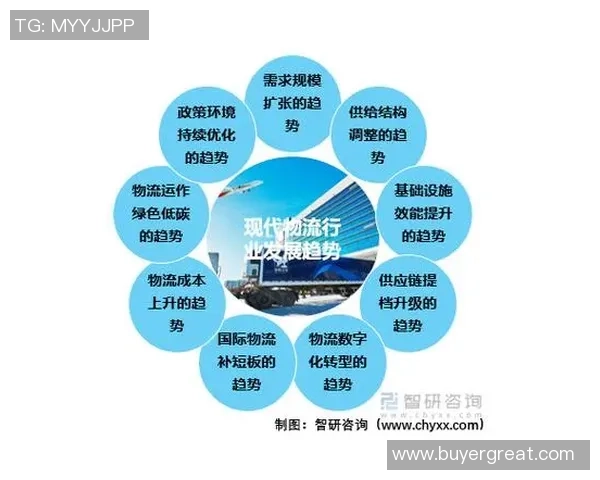 广州网球队实力分析与未来发展潜力的深度探讨 广州网球队实力分析与未来发展潜力的深度探讨