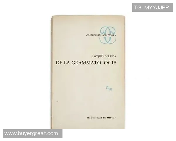 张昊:从平凡到卓越的奋斗历程与人生哲学探索